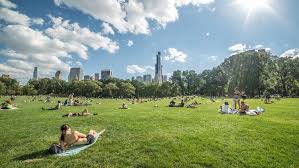 NYC Heat Wave Expected to Bring Record-Setting Temperatures