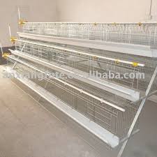 Image result for chicken cage