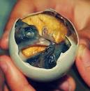 Fertilized Duck Eggs Aren t Gross, They re Actually Pretty Delicious