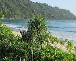 Radhanagar Beach, Havelock Island, India beach