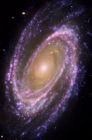 Image result for galaxy m81
