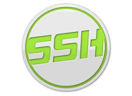 Hasil gambar untuk logo speed ssh