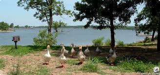 Image result for Snowdale State Park Campground Salina OK