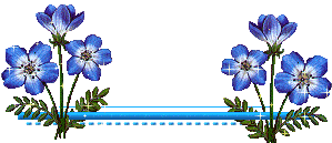 images?q=tbn:ANd9GcRYBeZulgkOfqWEUVxumf-