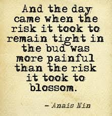 Anais Nin Quotes And Sayings. QuotesGram via Relatably.com