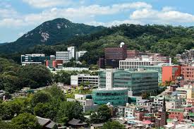 서울Pn - News update