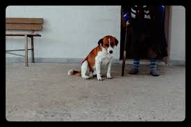 PhotoEssay | My Once-Rebellious Municipality