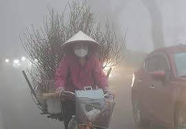 News source: VnExpress