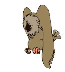 Bildergebnis für gif