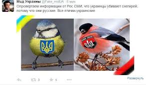В Украине создадут координационный офис ООН для помощи Донбассу, - Ельченко - Цензор.НЕТ 8061