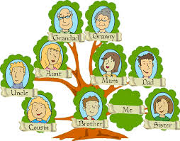 Resultat d'imatges de FAMILY MEMBERS