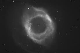 Image result for ngc 1566