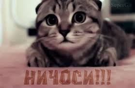 images?q=tbn:ANd9GcRYoerQbtyP9zM_NtlPO9-xUuCDuEPSduIJfaMOC09xHol2ChzDJg