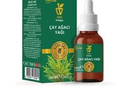 Çay ağacı yağı Tea tree oil resmi