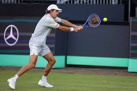 De Minaur going into Wimbledon strong after cruising into semis in Den Bosch