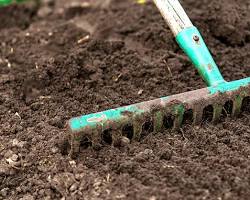 Préparer le sol pour semer du gazon