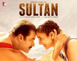 Image of Sultan (2016) Movie Poster