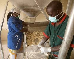 Image of Cassava processing in Nigeria