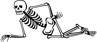 Image result for skeleton writer cartoon clip art