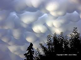 Image result for Mammatus cloud