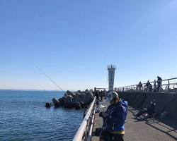 大磯海岸での釣りの画像