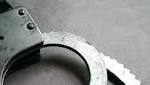 involved Limpopo farm attack arrested