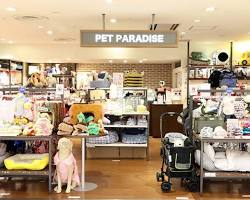 interior of Pet Paradise Shinjuku Subnade storeの画像