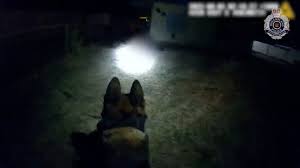 Queensland Police News - News update