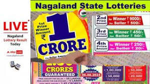 LIVE | Nagaland Lottery Sambad Friday (27.06.2025) Result: Dear SEAGULL 8 PM Draw OUT