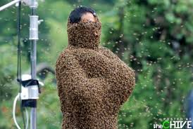 Résultat de recherche d'images pour "covered in bees"