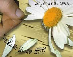 images?q=tbn:ANd9GcRZLQ02tkUaiVzECpmDC2W