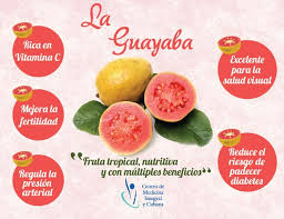 Resultado de imagen para Beneficios de la guayaba para la salud