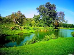 Image result for Amazing HD Nature Wallpapers For Desktop