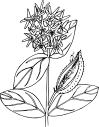 Image result for cartoon sun outline