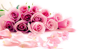 Image result for pink roses