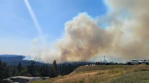 BREAKING: TNRD, District of Logan Lake issue evacuation alerts due to nearby wildfire - q101.ca