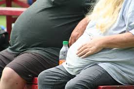 Resultado de imagen de obesity