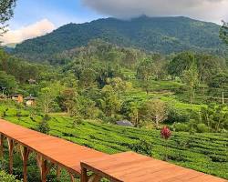 Gambar Ranch at Gunung Mas Bogor