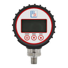 Model BRDG Digital Pressure Gauge - Blue Ribbon Corp.