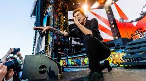 tote hosen frankfurt