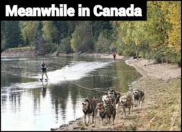 Funny Canadian Jokes and Funny Canada Stories via Relatably.com