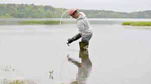 3 Cape Cod swimming spots are closed this weekend. Here's where