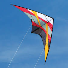 Resultado de imagen de kite