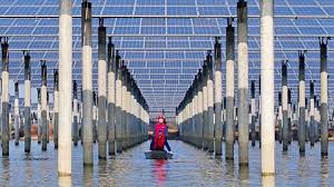 Why we need a National Energy Guarantee at the budget - New Economics Foundation
