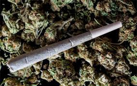 Resultado de imagen de Legalization