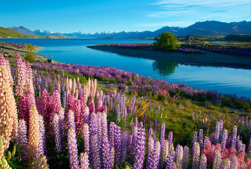 Lake Tekapo