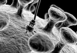 Image result for nanotechnology