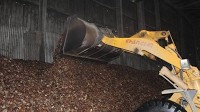 Copra subsidy increased by VT10, 000 per tonne