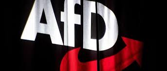 Partei kann nun nicht mal Hälfte ihrer Sitze besetzen AfD-Lokalpolitiker lehnt versehentlich Mandat ab – er setzte das Kreuz falsch — Tagesspiegel