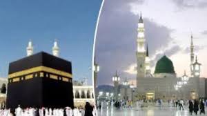 صحيفة صدى الالكترونية - News update